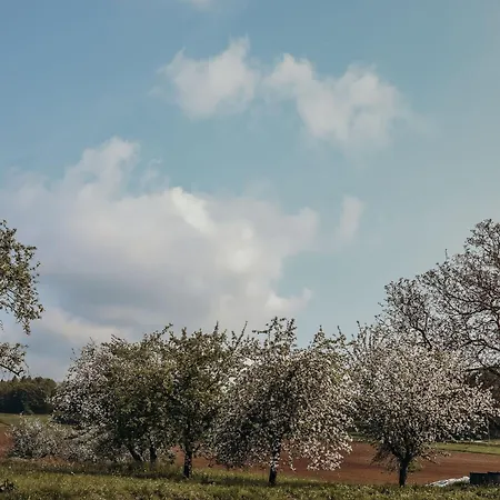 Frau Kunni - Café Und * Kasberg